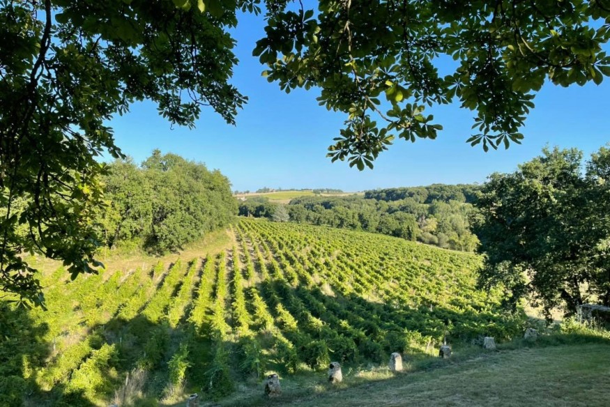 Château Arton :  Le Marché Complice du Collège Culinaire de France revient à Lectoure en 2025